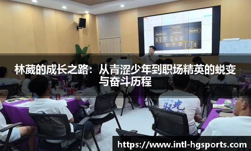 皇冠体育官方网站